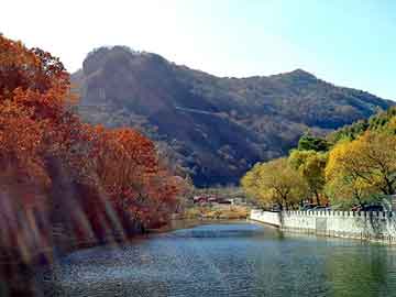 澳門一碼一碼100準(zhǔn)確 官方，澳門一碼精準(zhǔn)預(yù)測(cè)，官方發(fā)布100%準(zhǔn)確數(shù)據(jù)