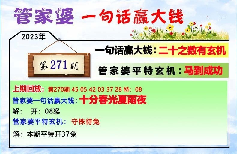 揭秘202管家婆一肖一碼，解碼神秘?cái)?shù)字的魅力，揭秘神秘?cái)?shù)字魅力，解碼管家婆一肖一碼的秘密