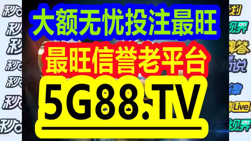 管家婆一碼中獎(jiǎng)——揭秘彩票背后的故事，揭秘彩票背后的故事，管家婆一碼中獎(jiǎng)的神秘面紗