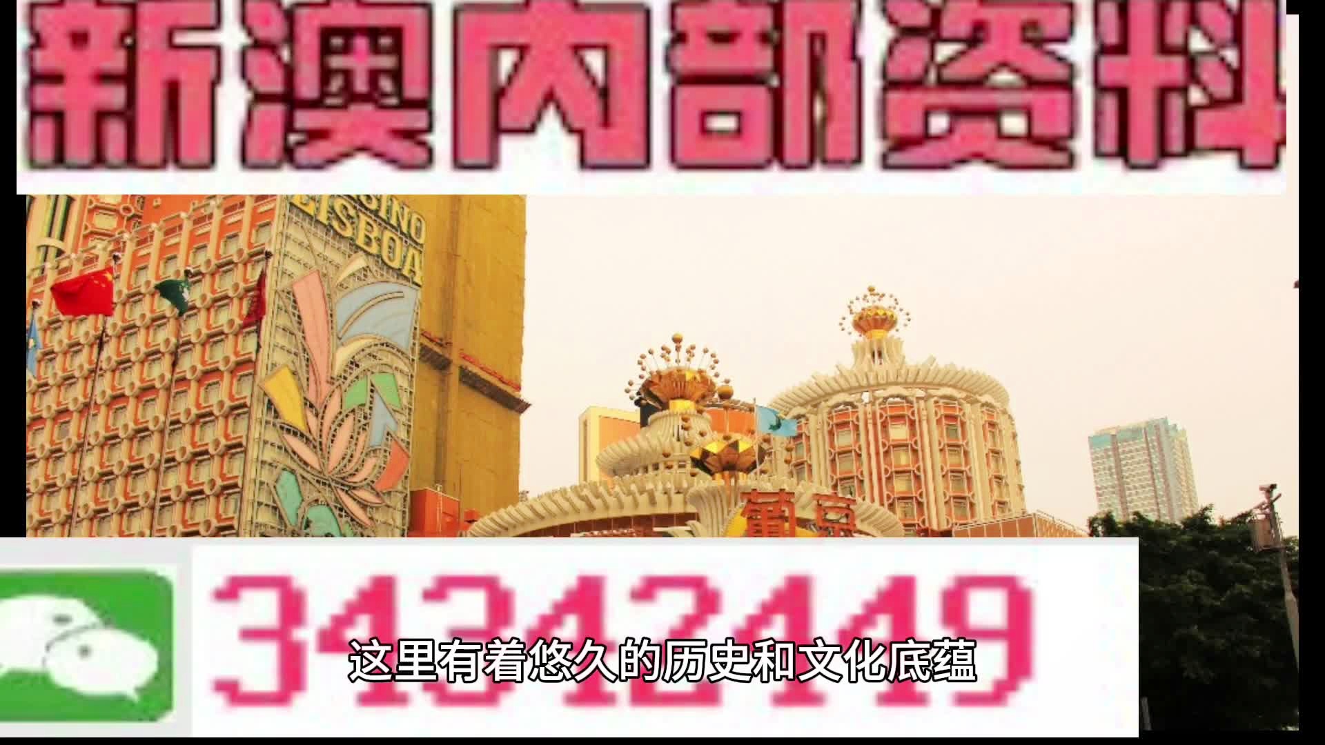 澳門最精準免費資料大全特色，澳門最全免費資料大全特色解析
