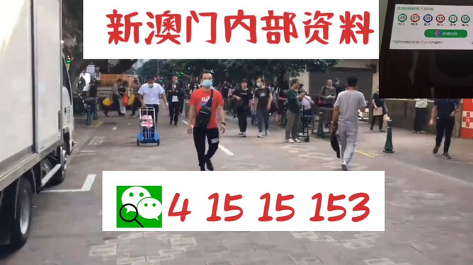 揭秘77778888管家婆老家必中之謎，一網(wǎng)打盡的背后故事，揭秘77778888管家婆，老家必中之謎的背后真相一網(wǎng)打盡