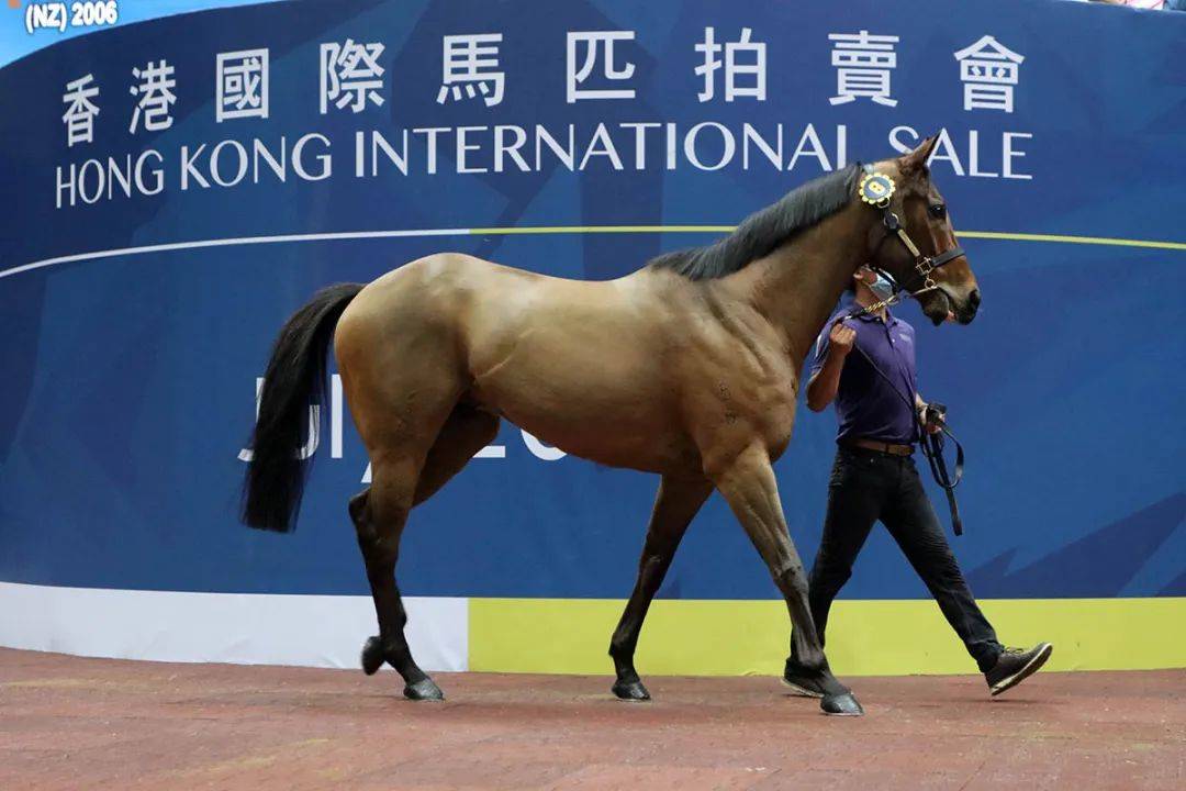 馬會香港新紀(jì)元，探索數(shù)字時代的無限可能 7777788888，馬會香港新紀(jì)元，數(shù)字時代的無限潛能探索