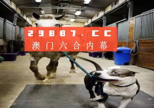 澳門一肖一碼一必中，同舟共濟(jì)勇前進(jìn)，澳門一肖一碼精準(zhǔn)預(yù)測(cè)，同舟共濟(jì)勇攀高峰