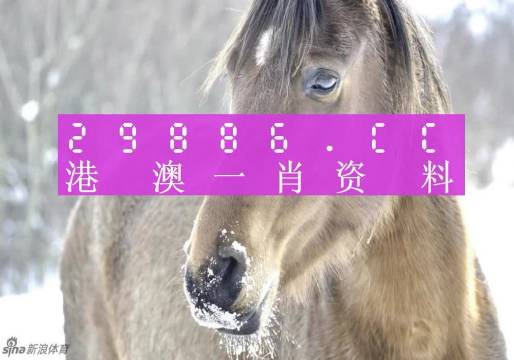 澳門一肖一碼，揭秘背后的秘密與真相，澳門一肖一碼揭秘背后的秘密真相大揭秘