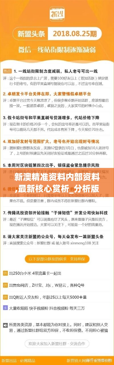 新澳精準(zhǔn)資料免費提供，探索第221期的奧秘與價值，新澳精準(zhǔn)資料揭秘第221期奧秘與價值