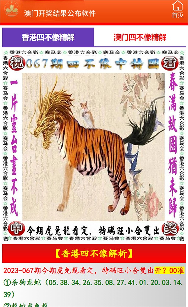 2025澳門特馬今晚開獎138期，澳門特馬第138期開獎預告，期待揭曉的時刻