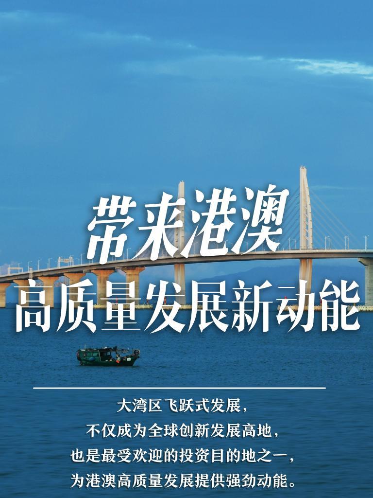 2025新澳門精準免費大全，澳門最新精準免費資料大全（2025版）