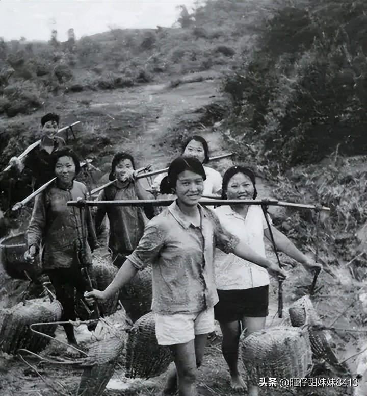免費(fèi)下載49圖庫(kù)，海量美圖資源一網(wǎng)打盡，海量美圖資源免費(fèi)下載，49圖庫(kù)一網(wǎng)打盡