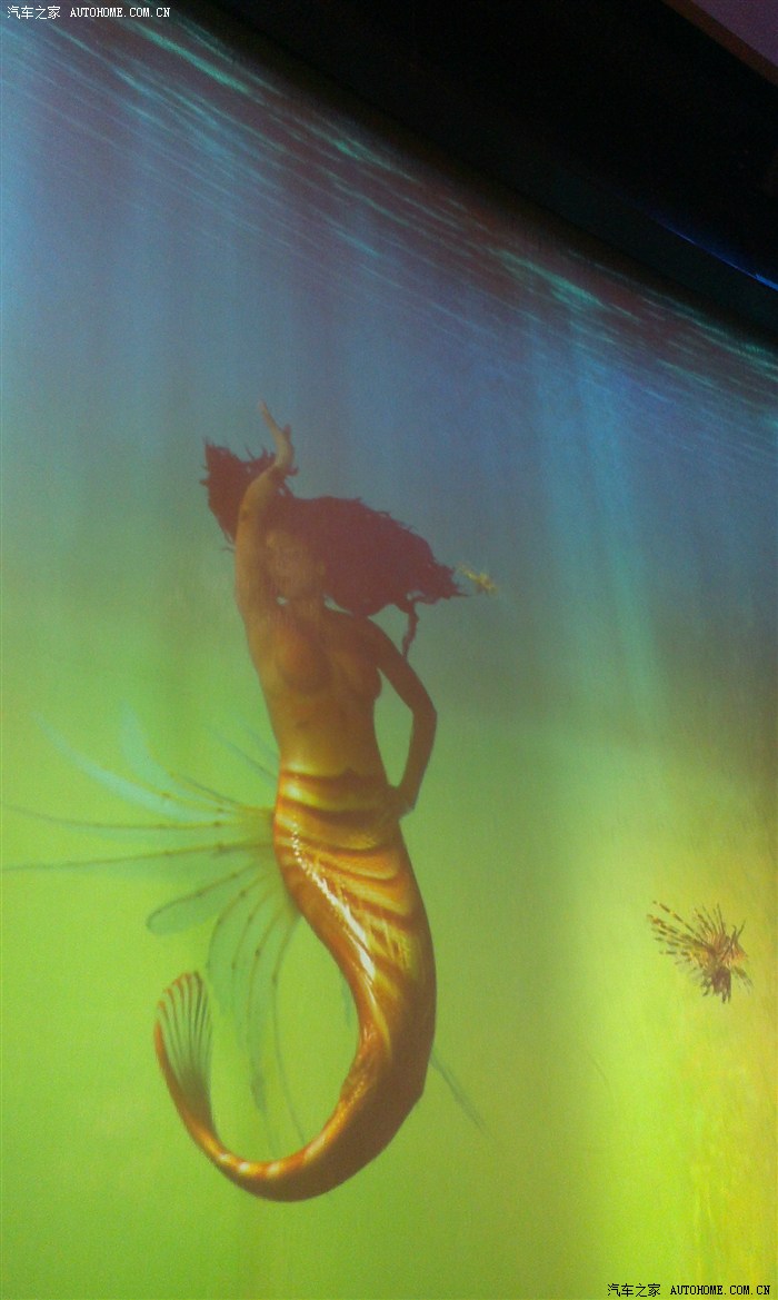 澳門美人魚，澳門美人魚表演，魅力海洋的夢幻之旅