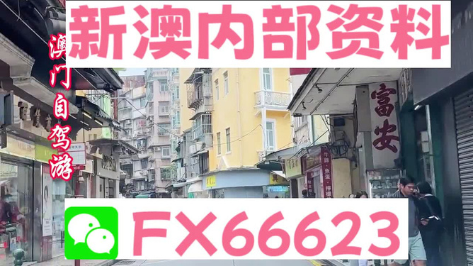 新澳精準資料免費提供，新澳精準資料免費分享