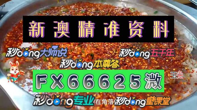 澳門特料，澳門特料揭秘