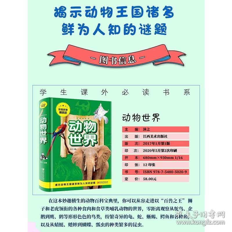 澳門正版資料大全資料生肖卡，澳門正版資料大全，生肖卡全收錄
