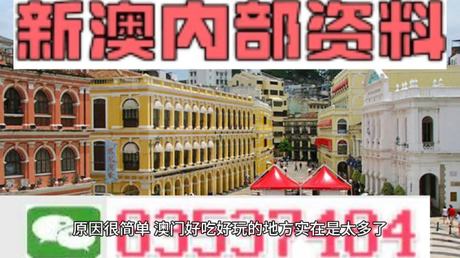 澳門免費精準資料，一網(wǎng)打盡各類實用信息，澳門實用信息一網(wǎng)打盡，免費精準資料大全