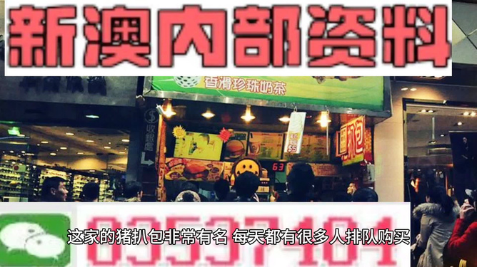 2025新澳精準(zhǔn)資料大全，2025新澳精準(zhǔn)資料大全手冊(cè)