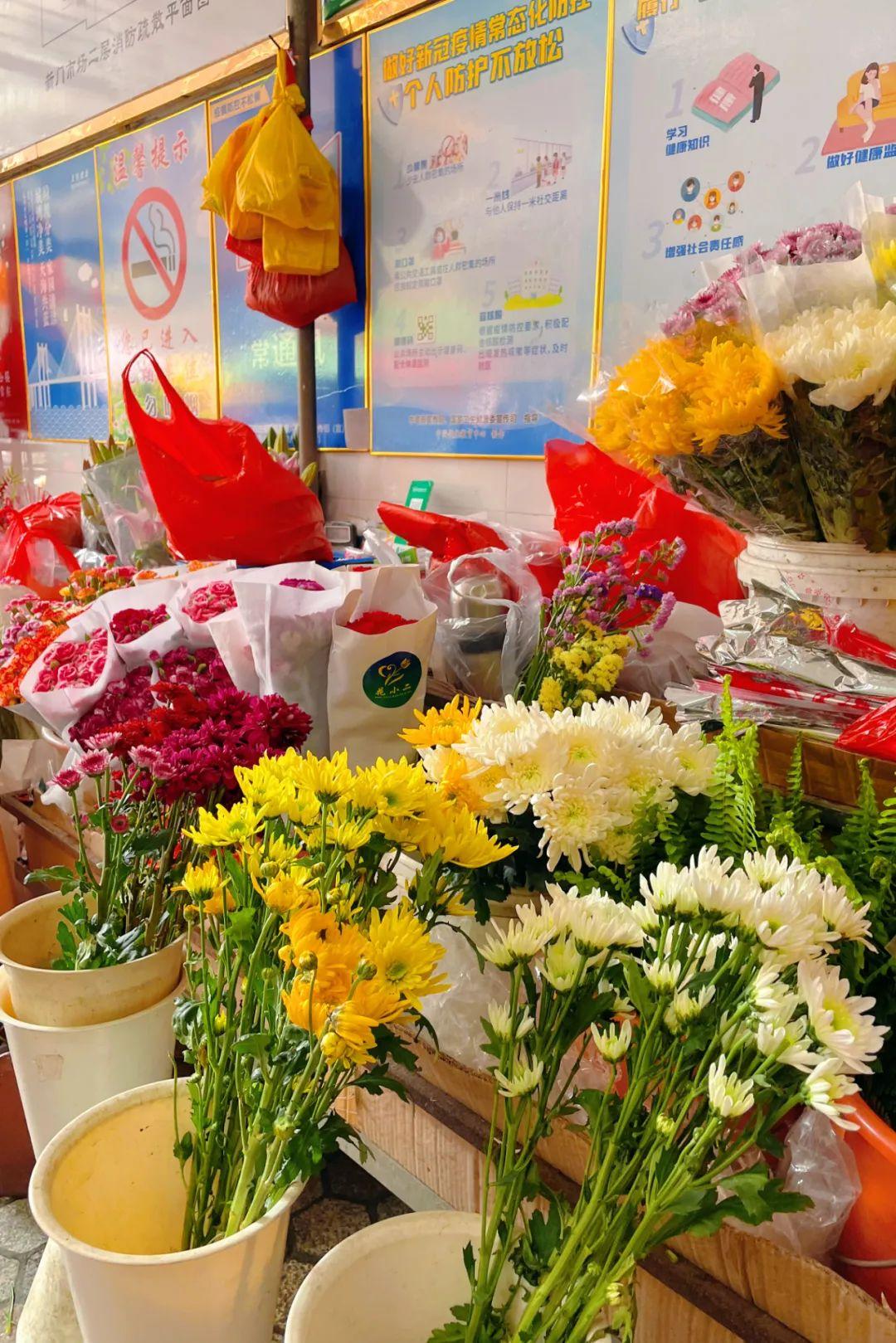 新門(mén)內(nèi)部資料精準(zhǔn)大全更新功能介紹，新門(mén)內(nèi)部資料精準(zhǔn)大全，最新功能介紹與更新詳解