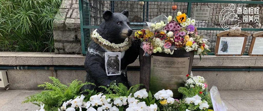 今晚澳門六開獎號碼結果揭秘，探尋幸運之門，澳門今晚開獎號碼揭秘，探尋幸運之門