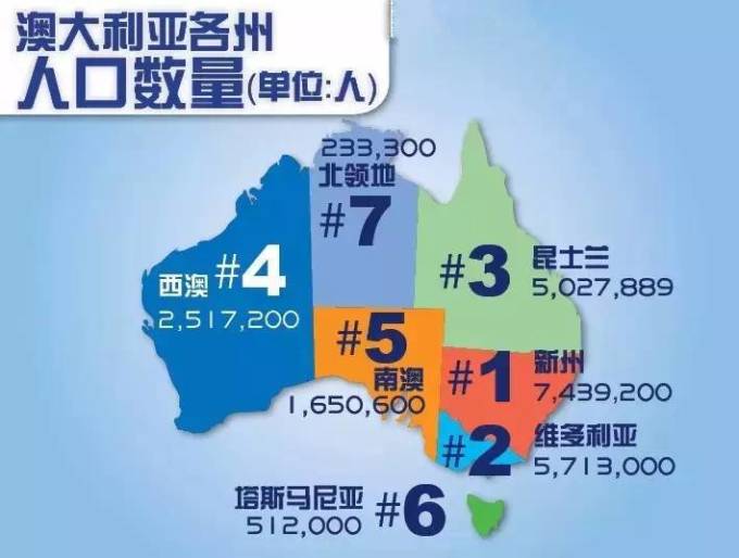 新澳2025年一肖一馬中特，新澳2025年一肖一馬中特預(yù)測與解析