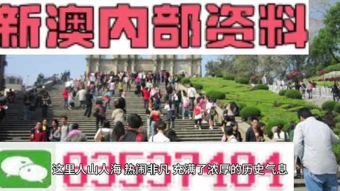 澳門最精準免費資料大全旅游團
