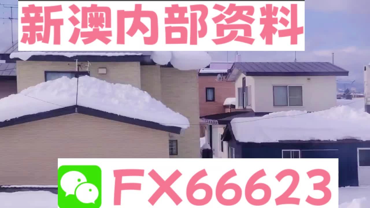 2025新澳精準(zhǔn)資料大全解釋，2025新澳精準(zhǔn)資料大全詳解