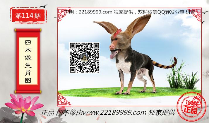 四不像正版資料，四不像正版資料詳解