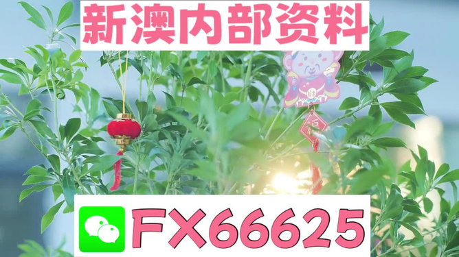 新澳好彩免費資料查詢背后的故事，水果奶奶醉八仙，新澳好彩免費資料查詢背后的故事，水果奶奶的八仙醉傳奇