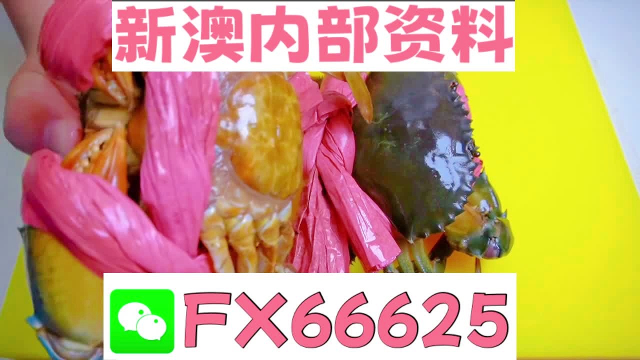 2025新澳精準(zhǔn)資料大全解釋?zhuān)?025新澳精準(zhǔn)資料大全詳解