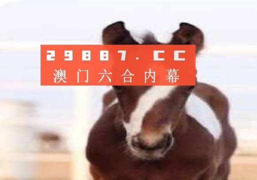 新澳門一碼一碼100準(zhǔn)確，澳門彩票一碼精準(zhǔn)預(yù)測，揭秘準(zhǔn)確率背后的秘密