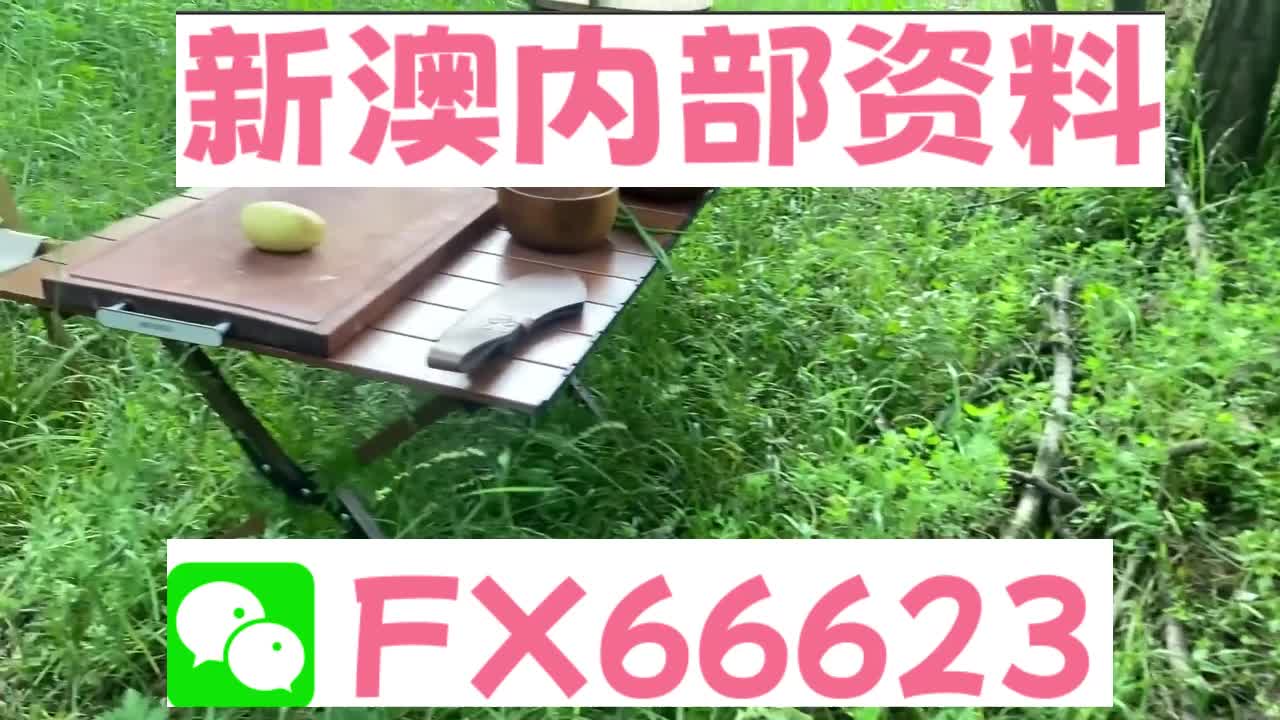 2025新澳精準(zhǔn)資料大全解釋，2025新澳精準(zhǔn)資料大全詳解