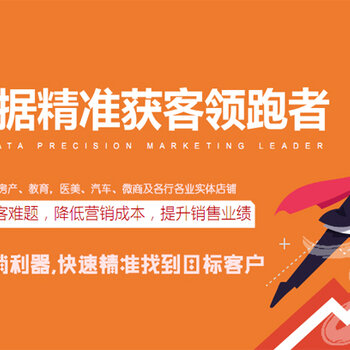 新奧精準(zhǔn)免費(fèi)資料提供的廣告策略，打造高效引流渠道，新奧精準(zhǔn)免費(fèi)資料廣告策略，高效引流渠道的打造