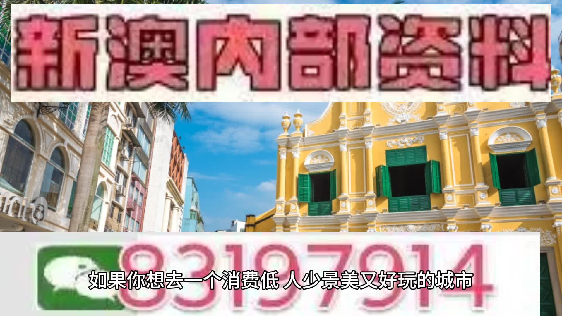 新澳2025年一肖一馬中特，新澳2025年一肖一馬中特預測與解析